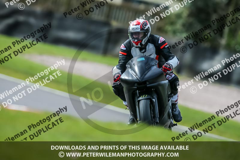 Oulton Park 21st March 2020;PJ Motorsport Photography 2020;anglesey;brands hatch;cadwell park;croft;donington park;enduro digital images;event digital images;eventdigitalimages;mallory;no limits;oulton park;peter wileman photography;racing digital images;silverstone;snetterton;trackday digital images;trackday photos;vmcc banbury run;welsh 2 day enduro